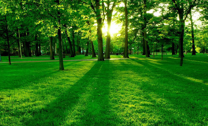 �P(gu��n)�ڹ�˾